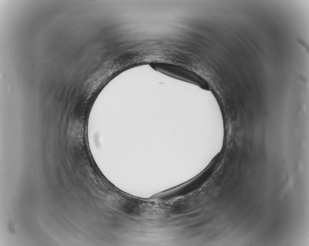 X0000103290297200808291114