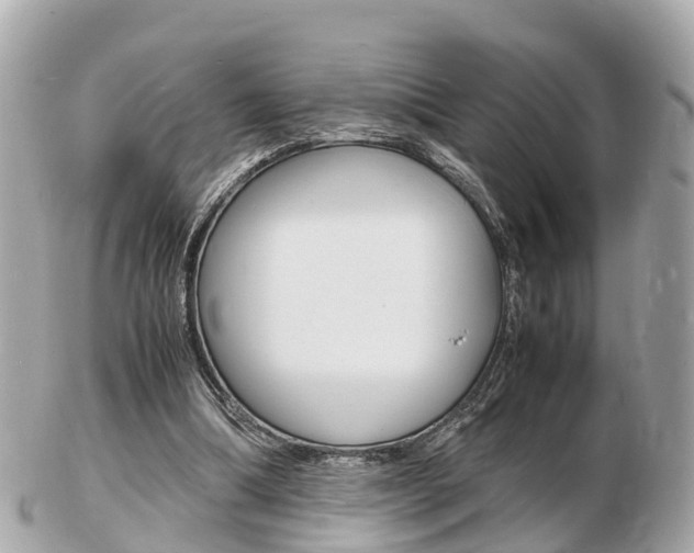 X0000103290298200808291114