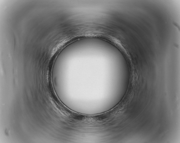 X0000103290299200808291114
