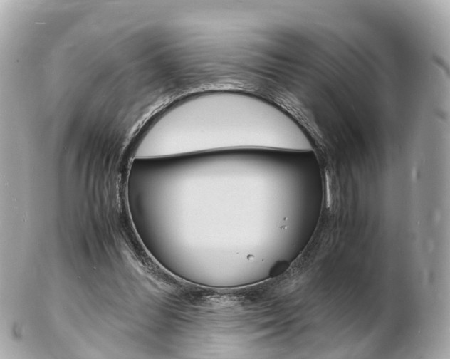 X0000103290300200808291114