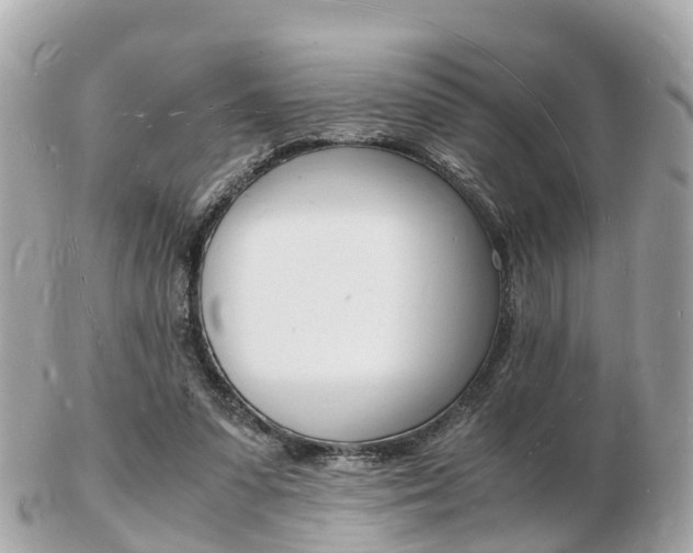 X0000103290303200808291114