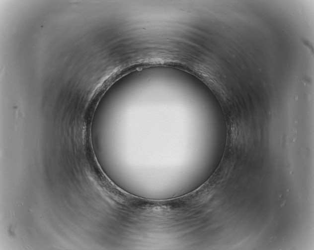 X0000103290304200808291114