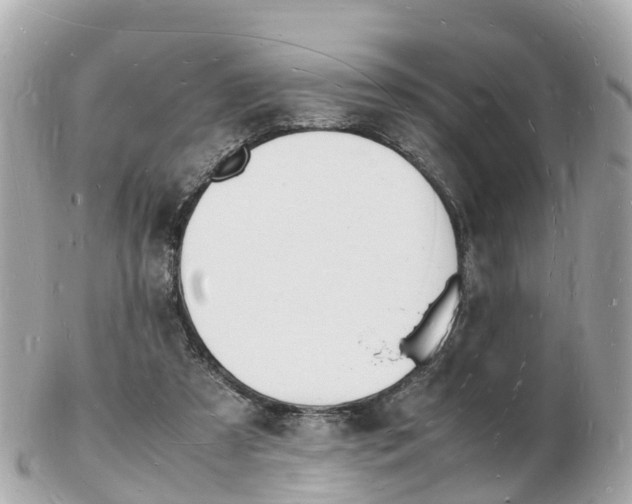X0000103290305200808291114