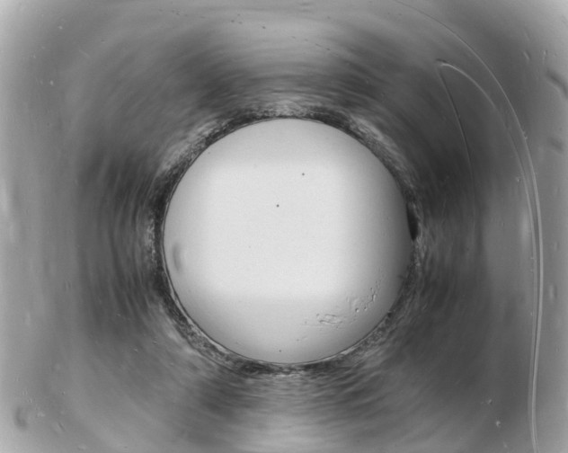 X0000103290306200808291114