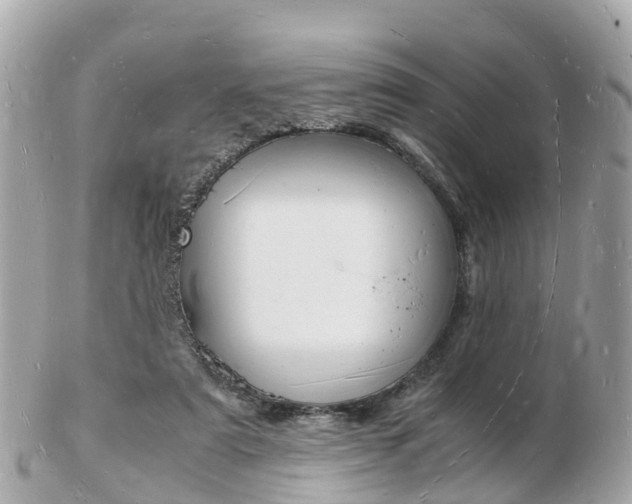 X0000103290307200808291114