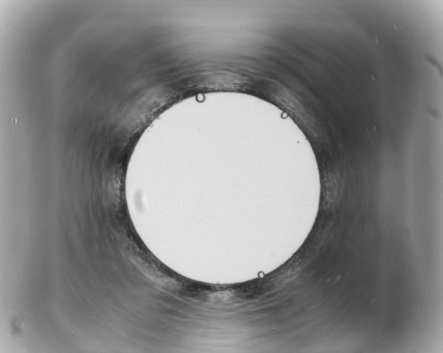 X0000103290309200808291114