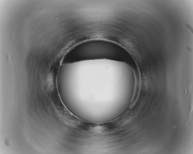 X0000103290312200808291114