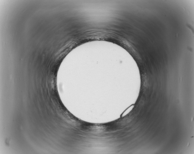 X0000103290313200808291114