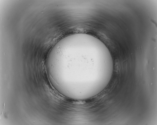 X0000103290318200808291114