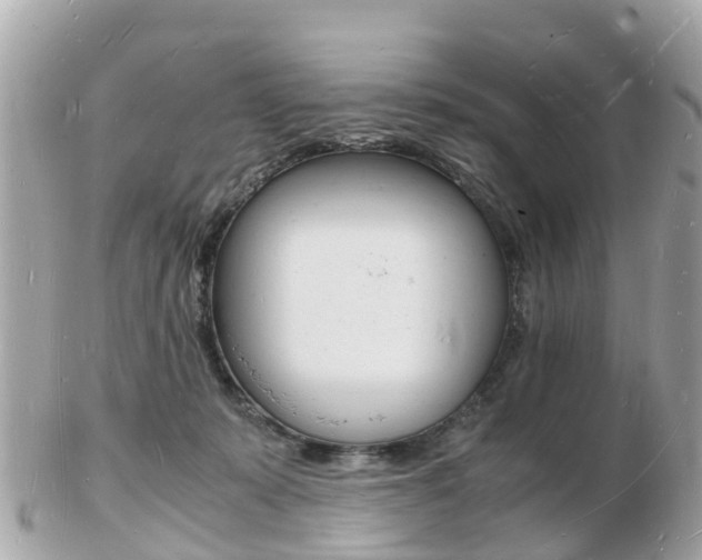 X0000103290319200808291114