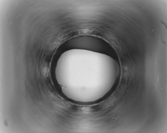 X0000103290324200808291114