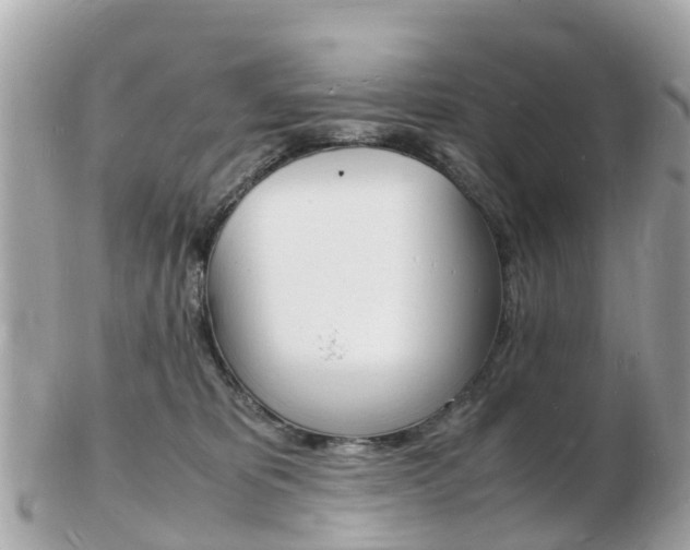 X0000103290325200808291114