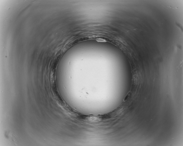 X0000103290327200808291114
