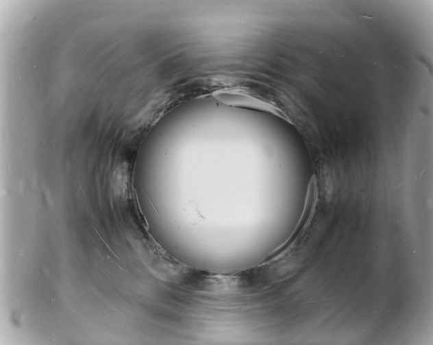 X0000103290328200808291114