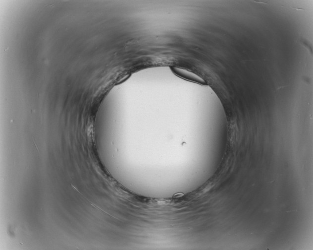 X0000103290329200808291113