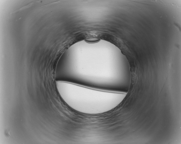 X0000103290331200808291113