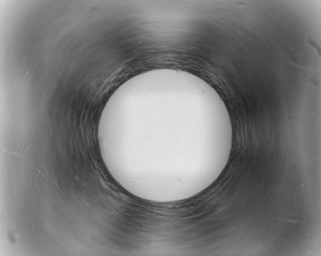 X0000103290332200808291113
