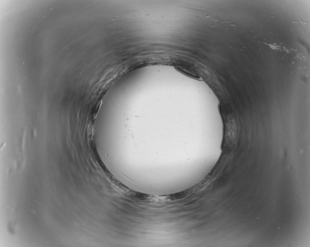 X0000103290333200808291113