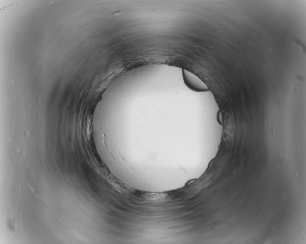 X0000103290334200808291113