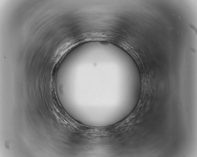X0000103290338200808291113