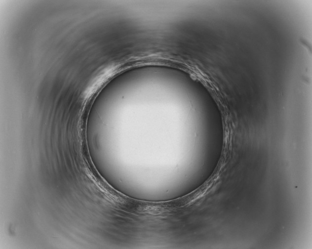 X0000103290341200808291113