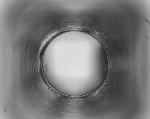 X0000103290342200808291113