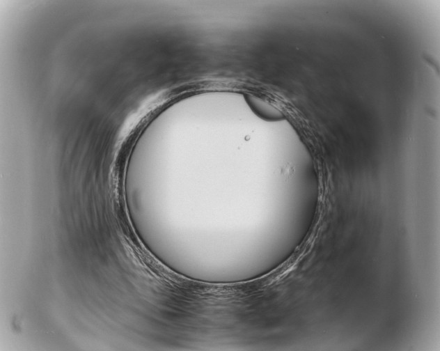 X0000103290343200808291113