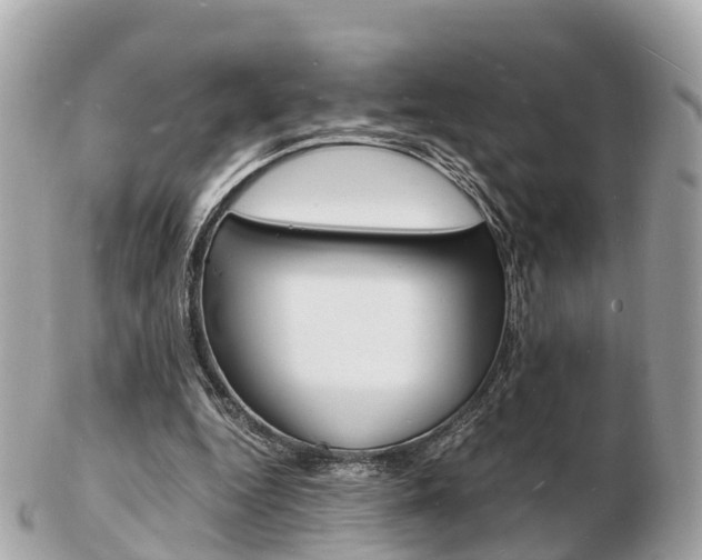 X0000103290344200808291113