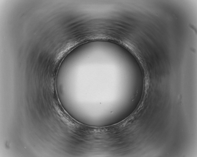 X0000103290345200808291113