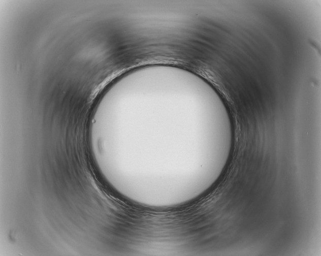X0000103290348200808291113