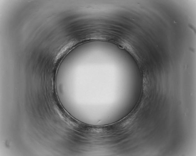 X0000103290349200808291113