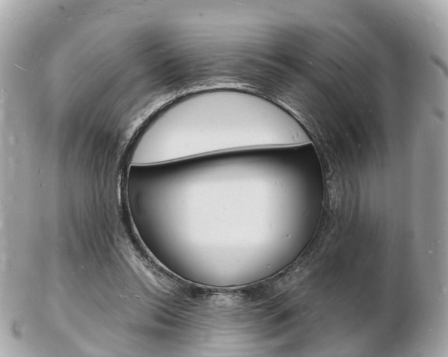 X0000103290350200808291113