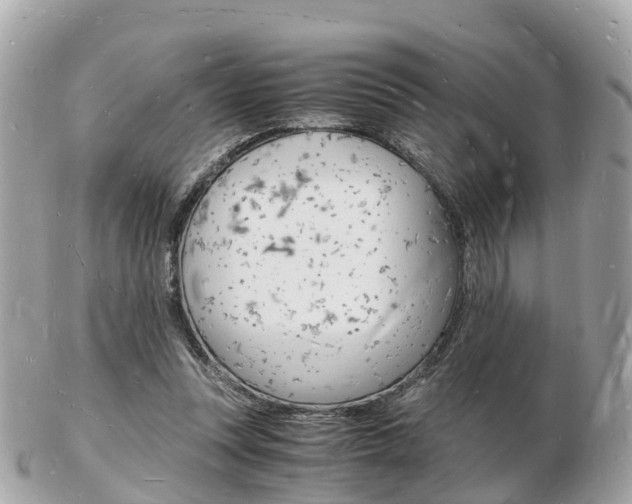 X0000103290351200808291113