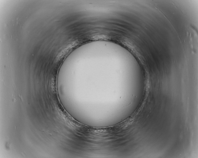 X0000103290353200808291113