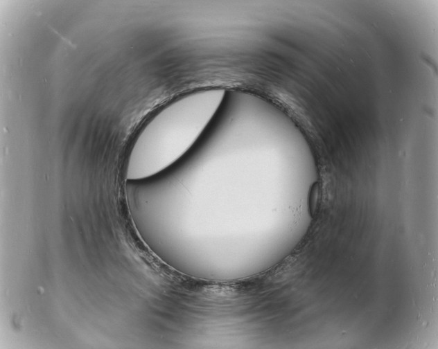 X0000103290354200808291113