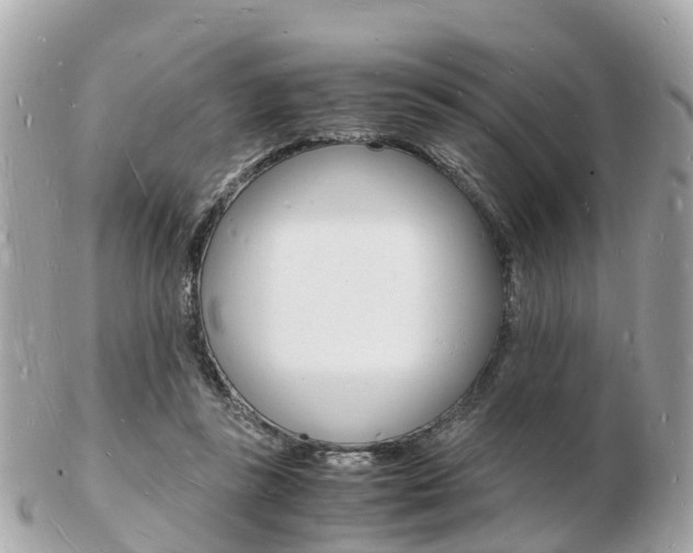 X0000103290355200808291113