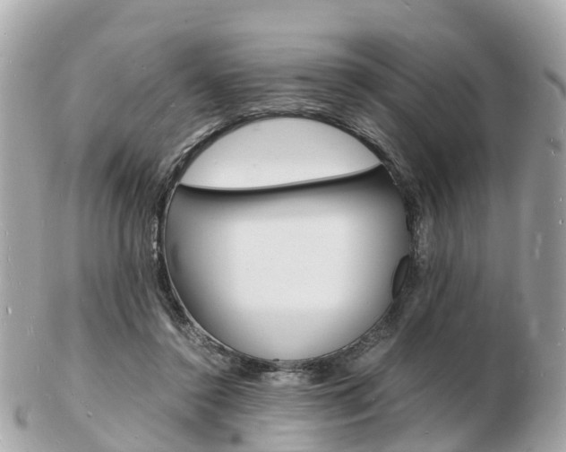 X0000103290356200808291113