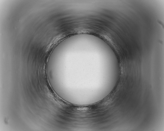 X0000103290357200808291113