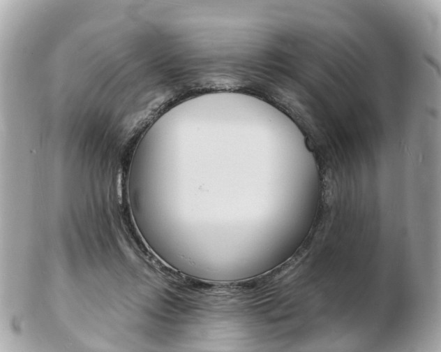 X0000103290358200808291113