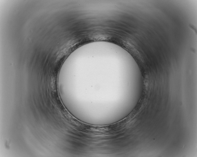 X0000103290359200808291113