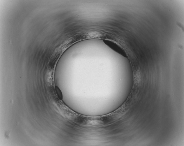 X0000103290360200808291113