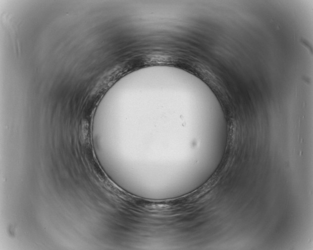 X0000103290361200808291113