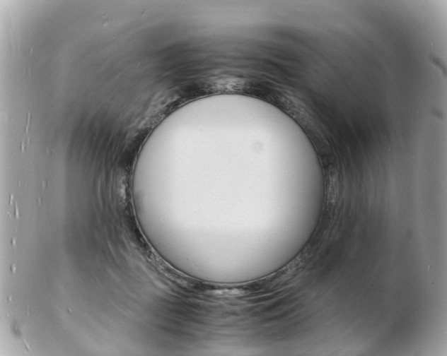 X0000103290363200808291113