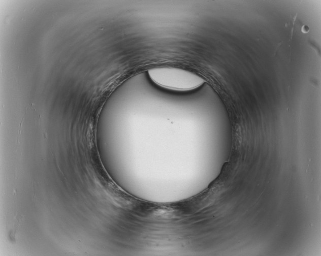 X0000103290364200808291113