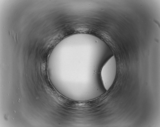 X0000103290365200808291113