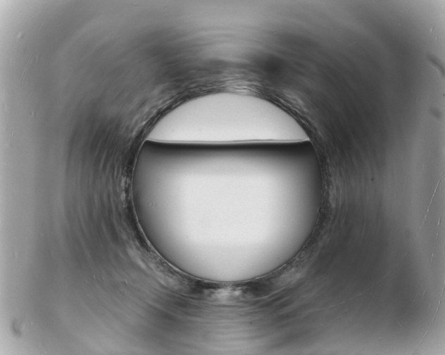 X0000103290366200808291113
