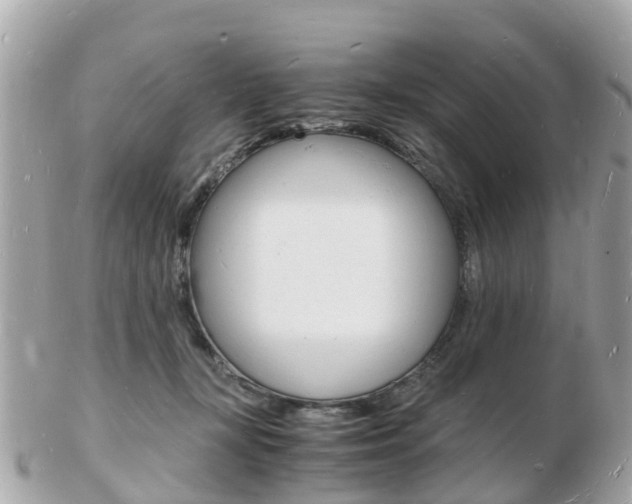 X0000103290367200808291113