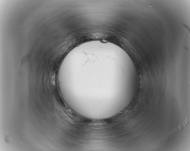 X0000103290368200808291113