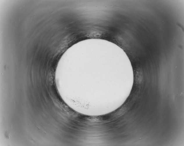 X0000103290370200808291113