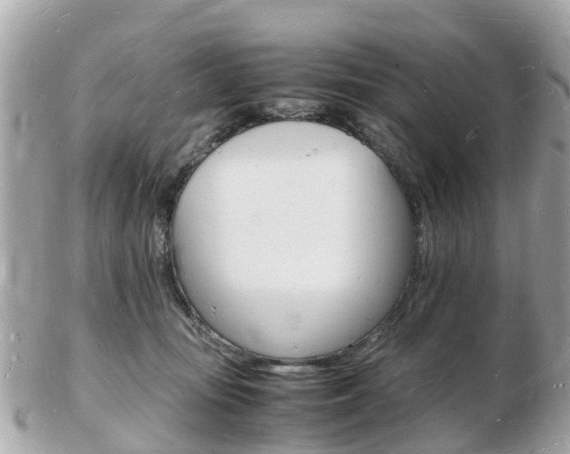 X0000103290371200808291113